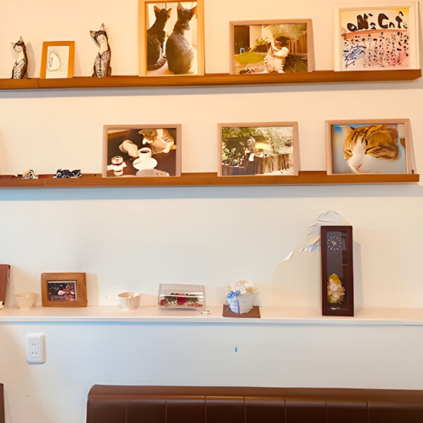 aN's Cafe（アンズカフェ）